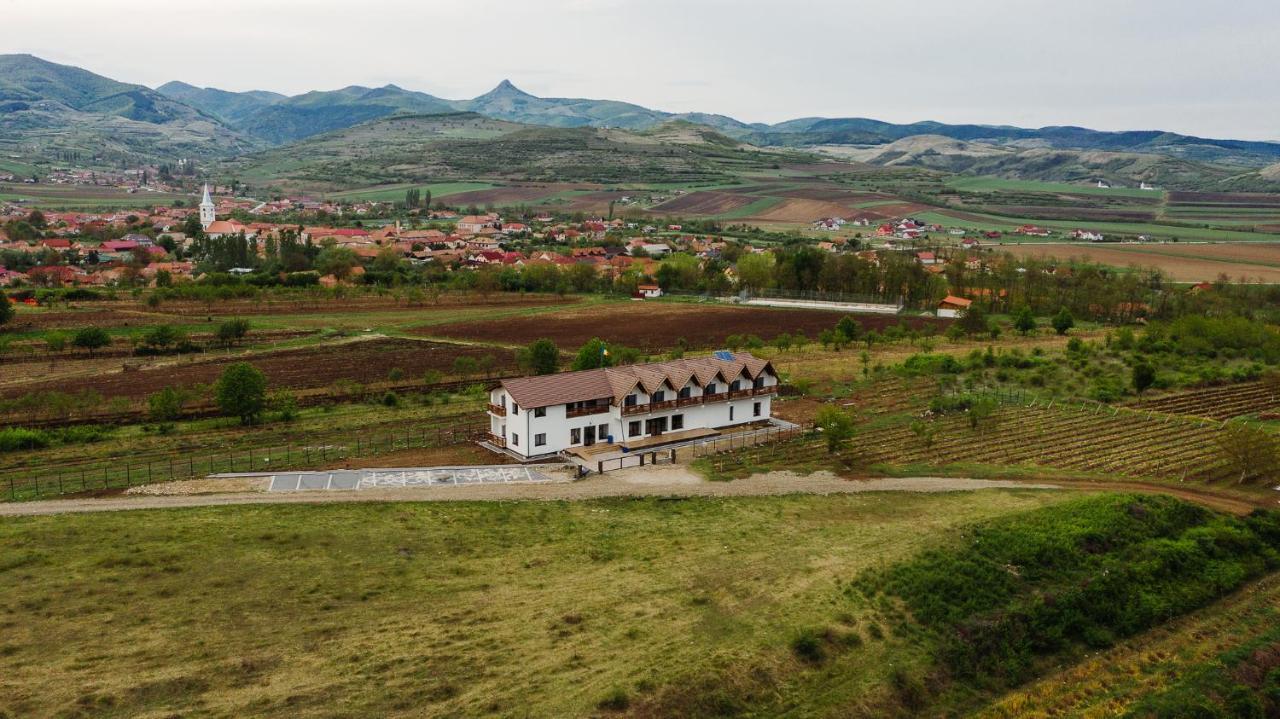 Pensiunea Casa Negrea Ighiu Zewnętrze zdjęcie