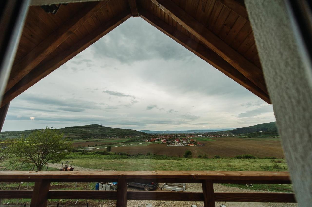 Pensiunea Casa Negrea Ighiu Zewnętrze zdjęcie