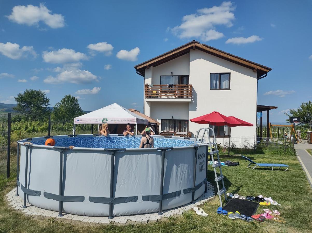 Pensiunea Casa Negrea Ighiu Zewnętrze zdjęcie